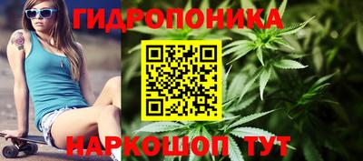 PSILOCYBIN Шахты