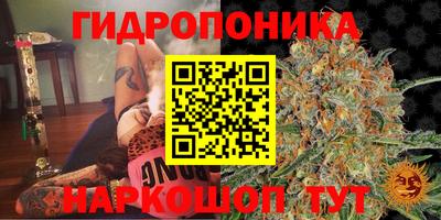 PSILOCYBIN Шахты