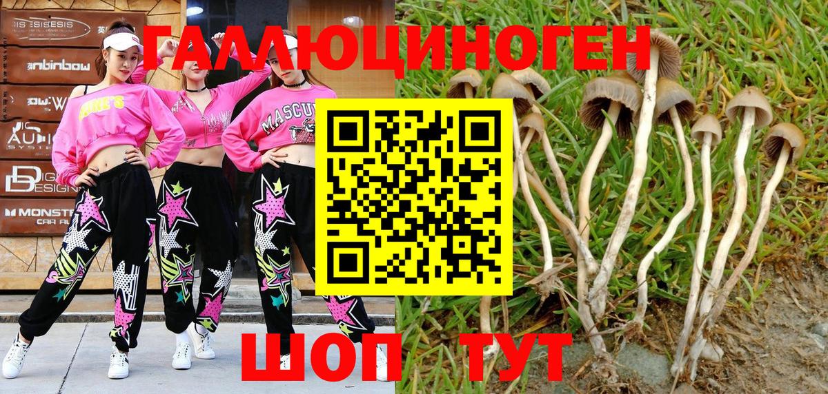 Галлюциногенные грибы MAGIC MUSHROOMS  Вход с VPN  Псилоцибиновые грибы Psilocybine cubensis  как найти   Сафоново 