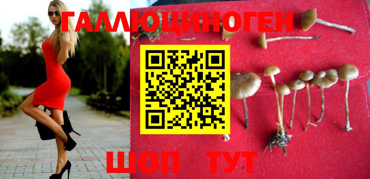 Псилоцибиновые грибы прущие грибы Сафоново