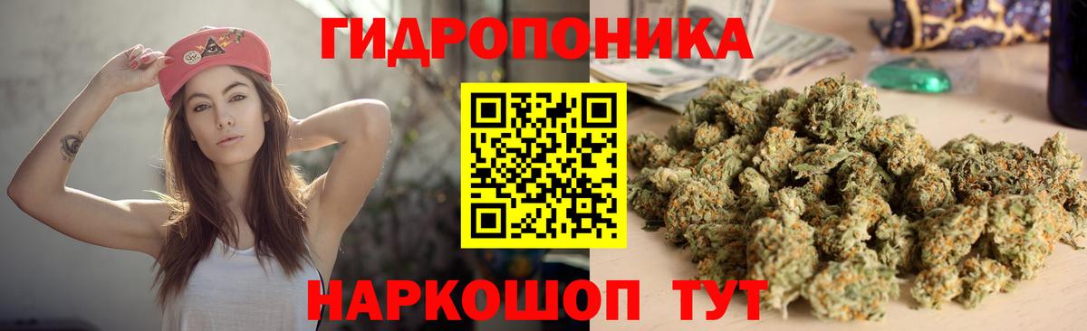 Конопля сатива Сафоново